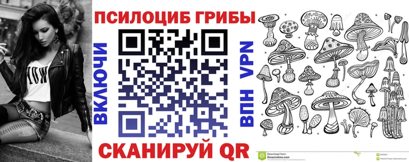 наркота Среднеуральск Псилоцибиновые грибы Cubensis